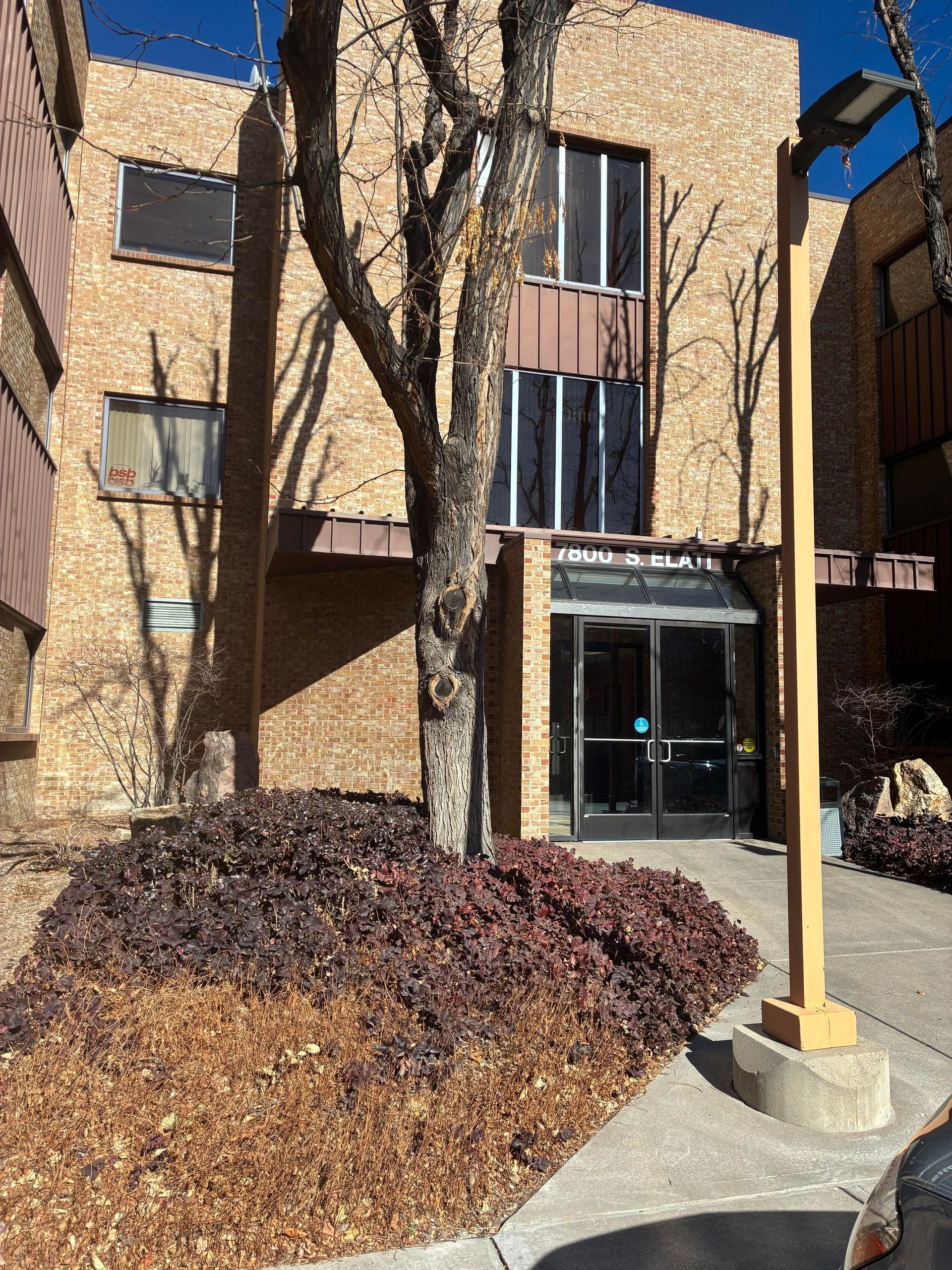 Apartment building entrance with glass doors, bare trees, and a yellow post beside a landscaped walkway