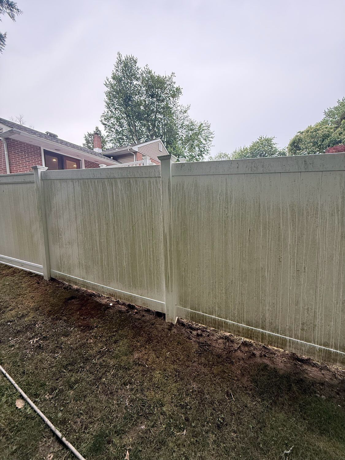 A weathered, light-colored vinyl fence panels standing in a backyard with a brick house visible in the background.