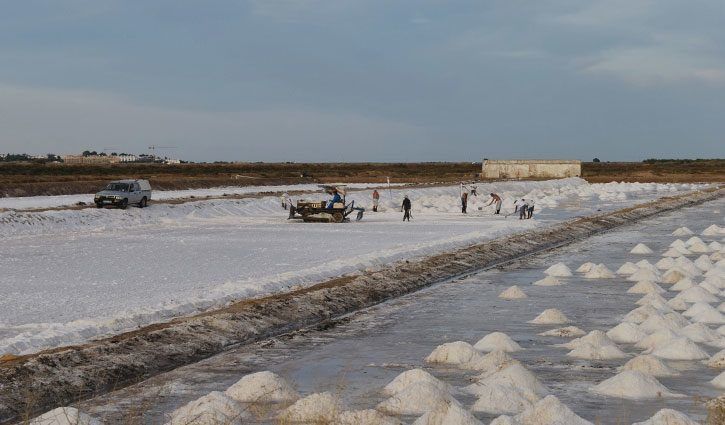 Salt Pans