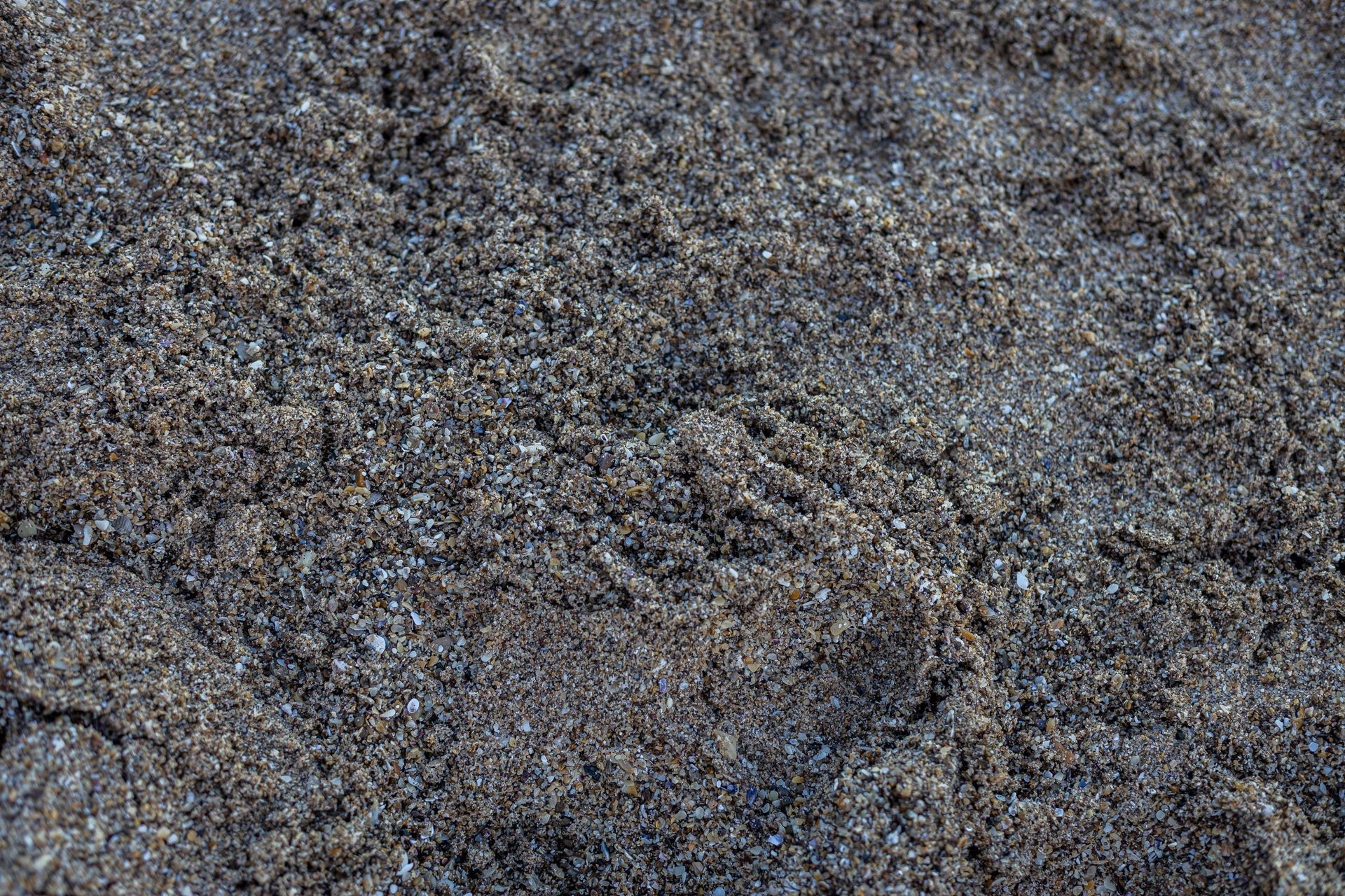 Close-up of dark, speckled gravel or pebbles covering the ground
