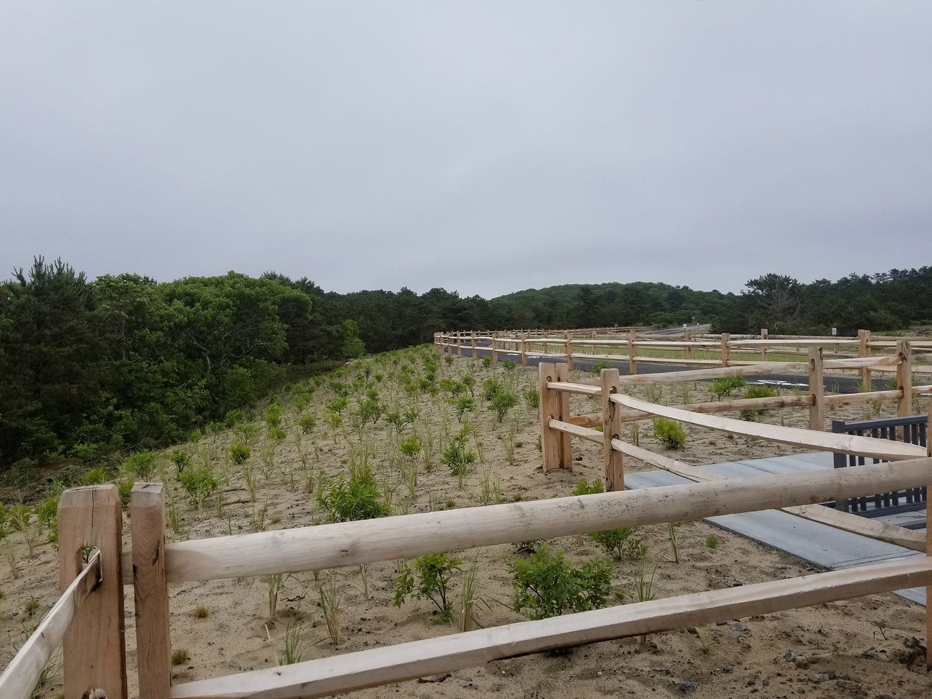 Rebuild Herring Cove