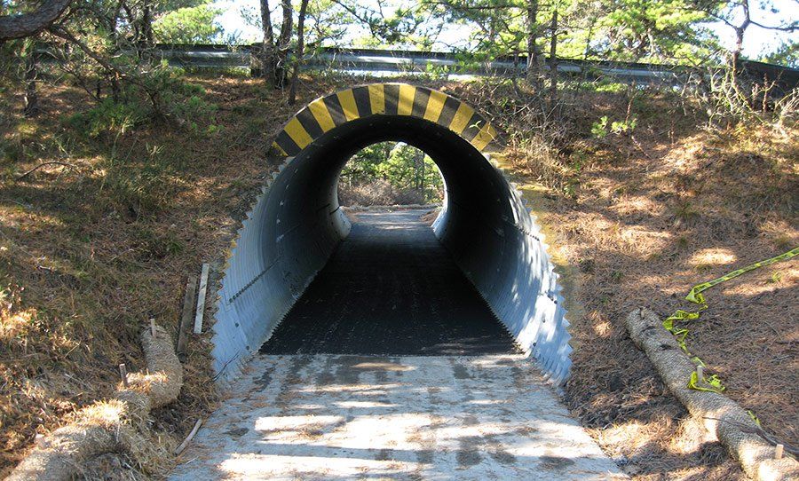 Rehab Provincelands Bike Trail
