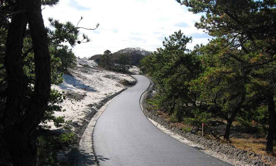 Rehab Provincelands Bike Trail