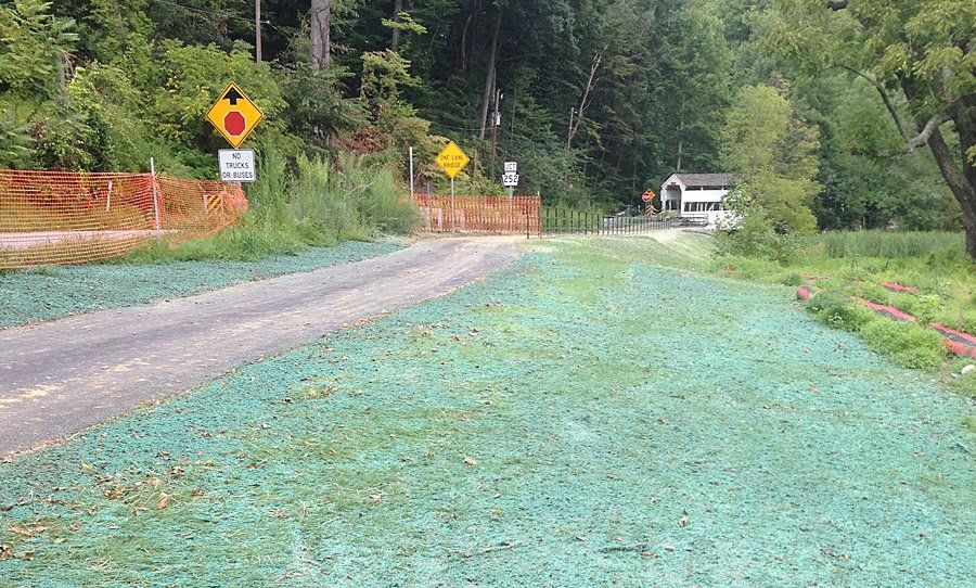  Trail Head for Yellow Springs Trail
