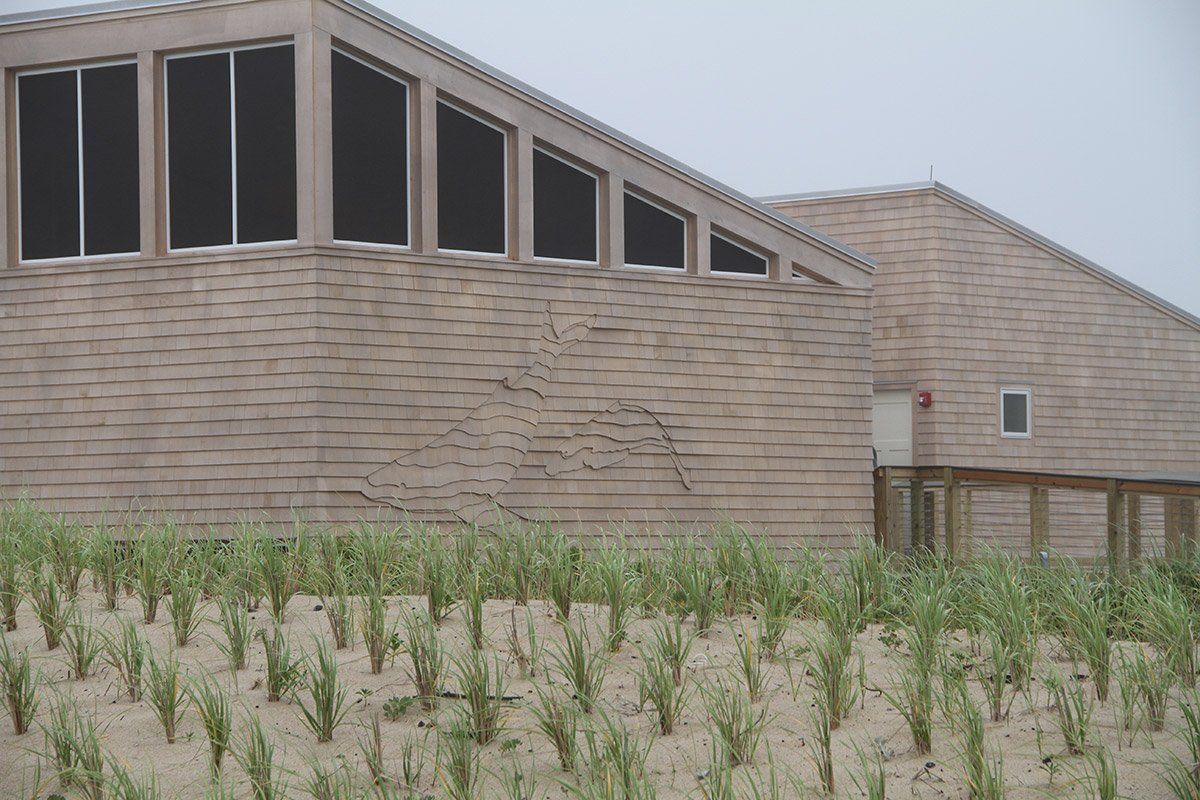 Rebuild Herring Cove