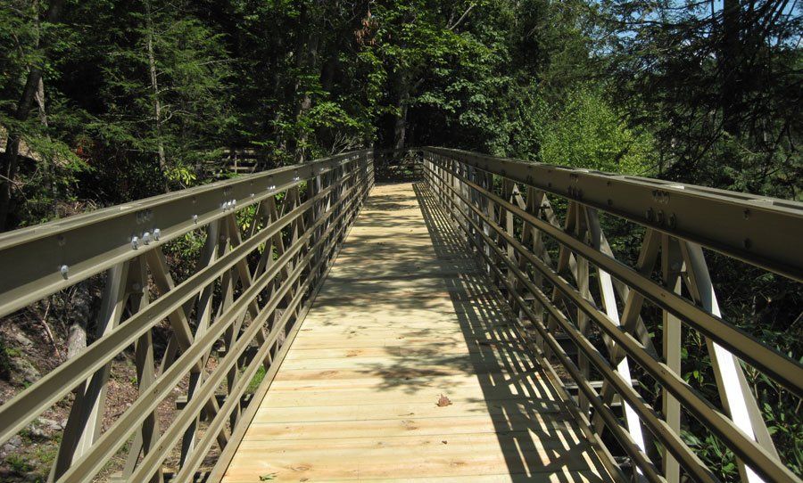 Wooden footbridge with metal railings stretching through a forested area in daylight