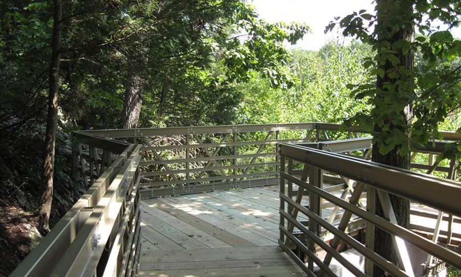 Wooden boardwalk with railings through a lush green forest overlook