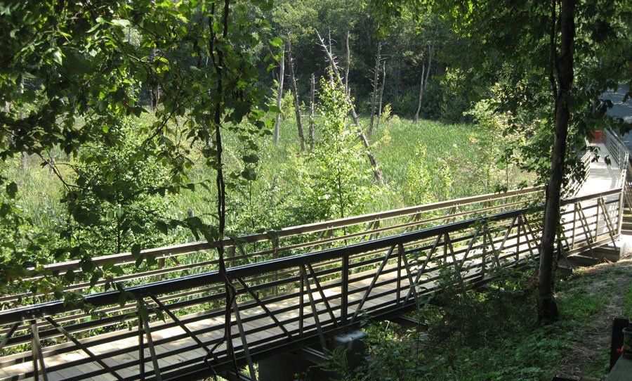 Wooden footbridge over a lush green forest ravine with sunlight filtering through trees