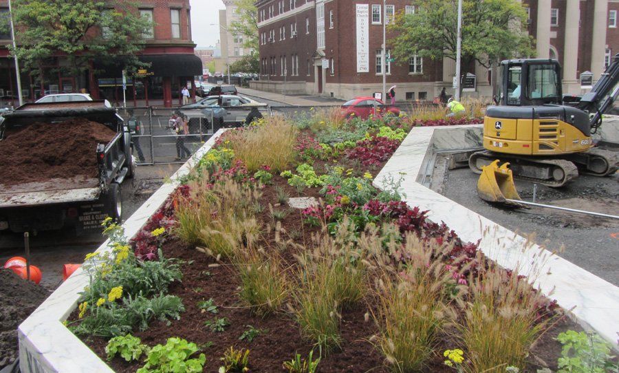Urban rooftop garden with colorful flowers beside a construction site and yellow excavator
