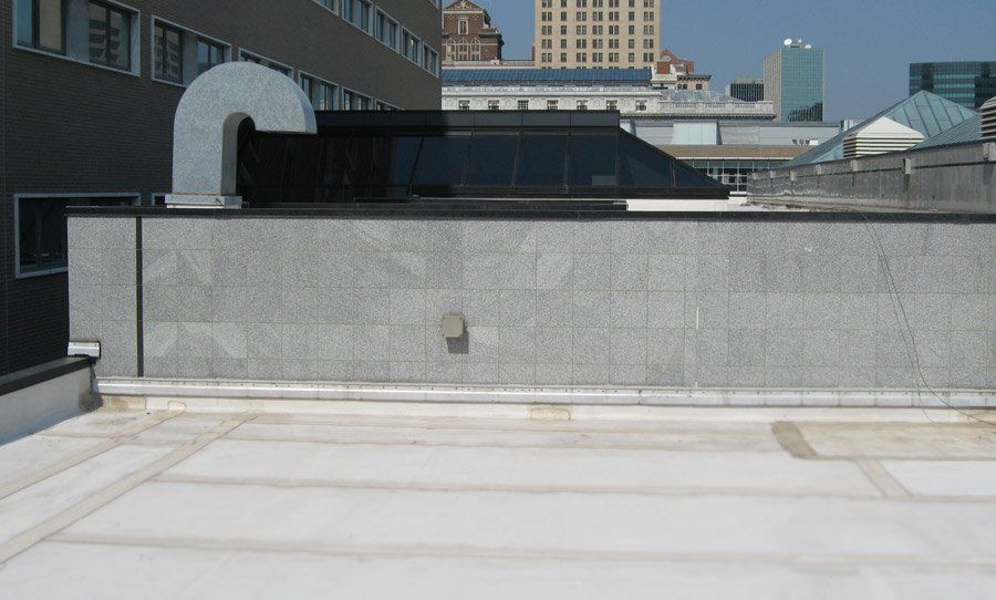 Ribicoff Roof 