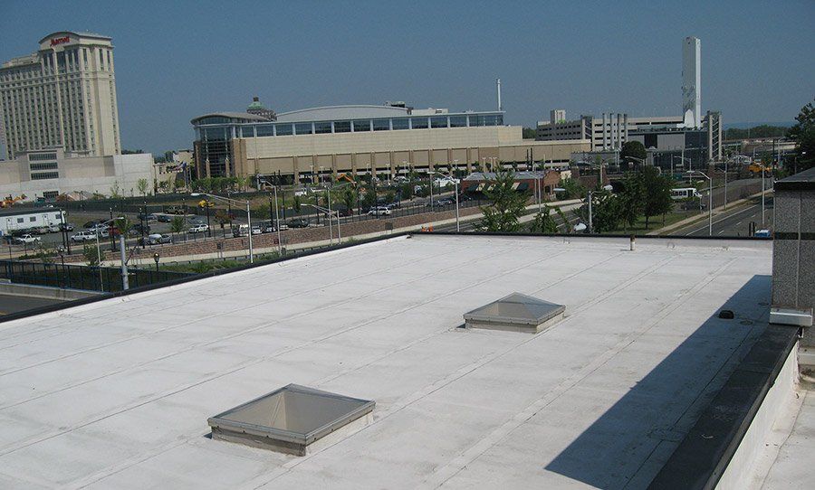 Ribicoff Roof 