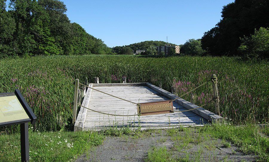 Restore the Turning Basin