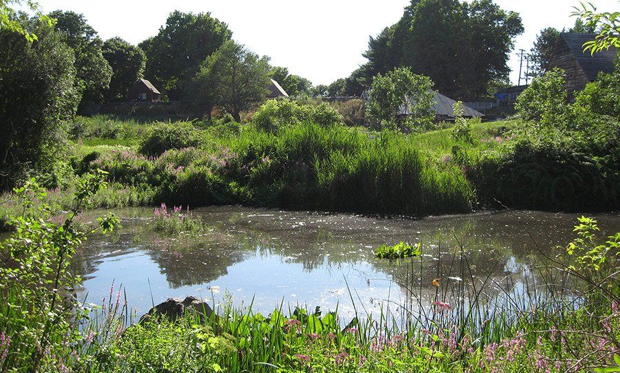 Restore the Turning Basin