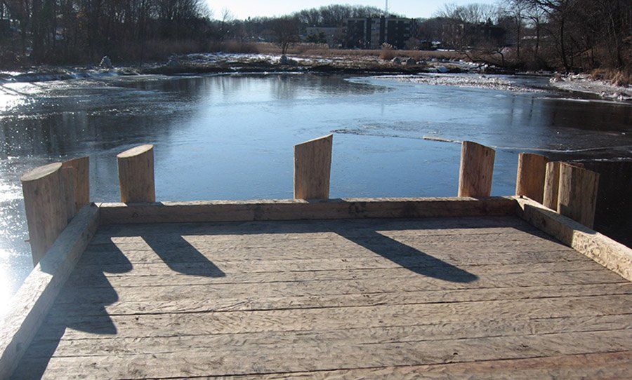 Restore the Turning Basin