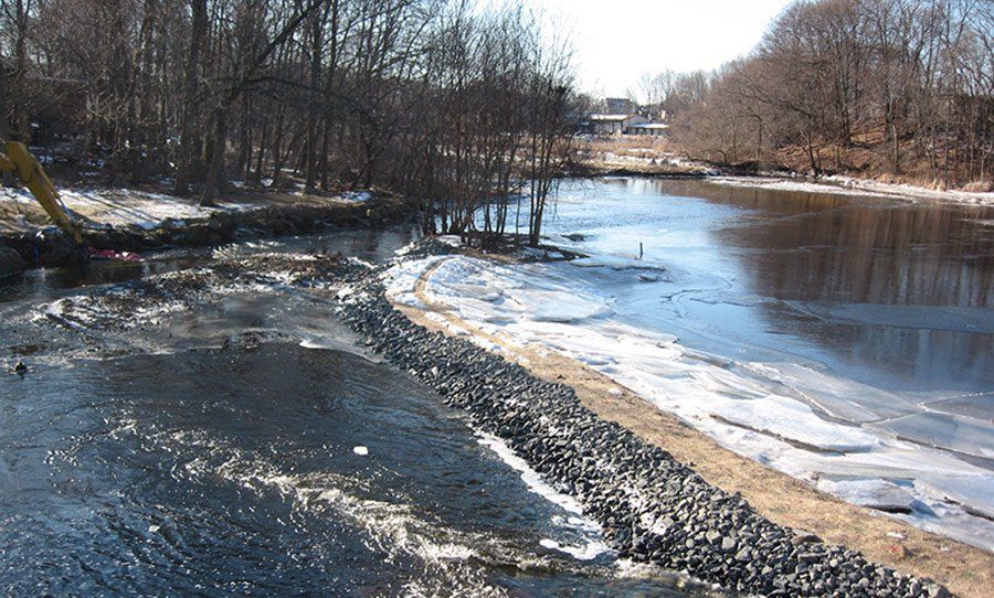 Restore the Turning Basin