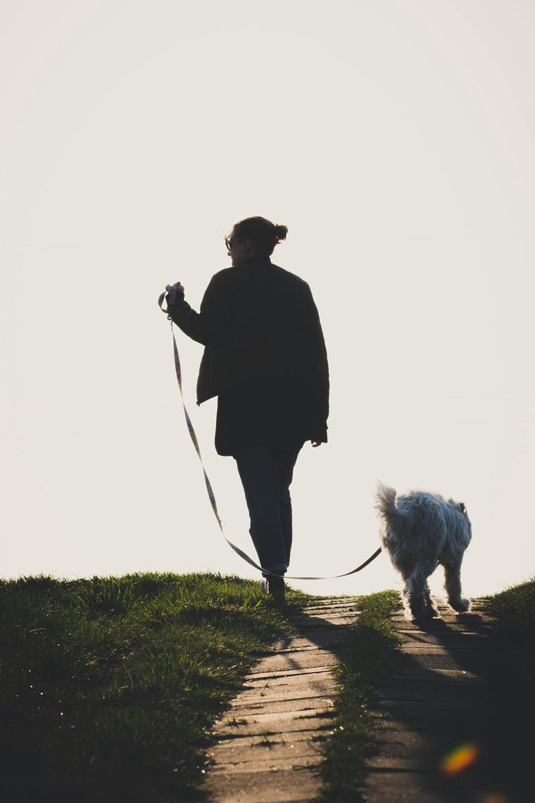 Silhouette of a person walking a small dog on a leash along a sunlit path at dusk.