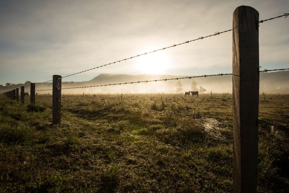 Fence Posts With Barbed Wire Against a Misty Field at Sunrise — Milton Electrical Projects In Kaban, QLD
