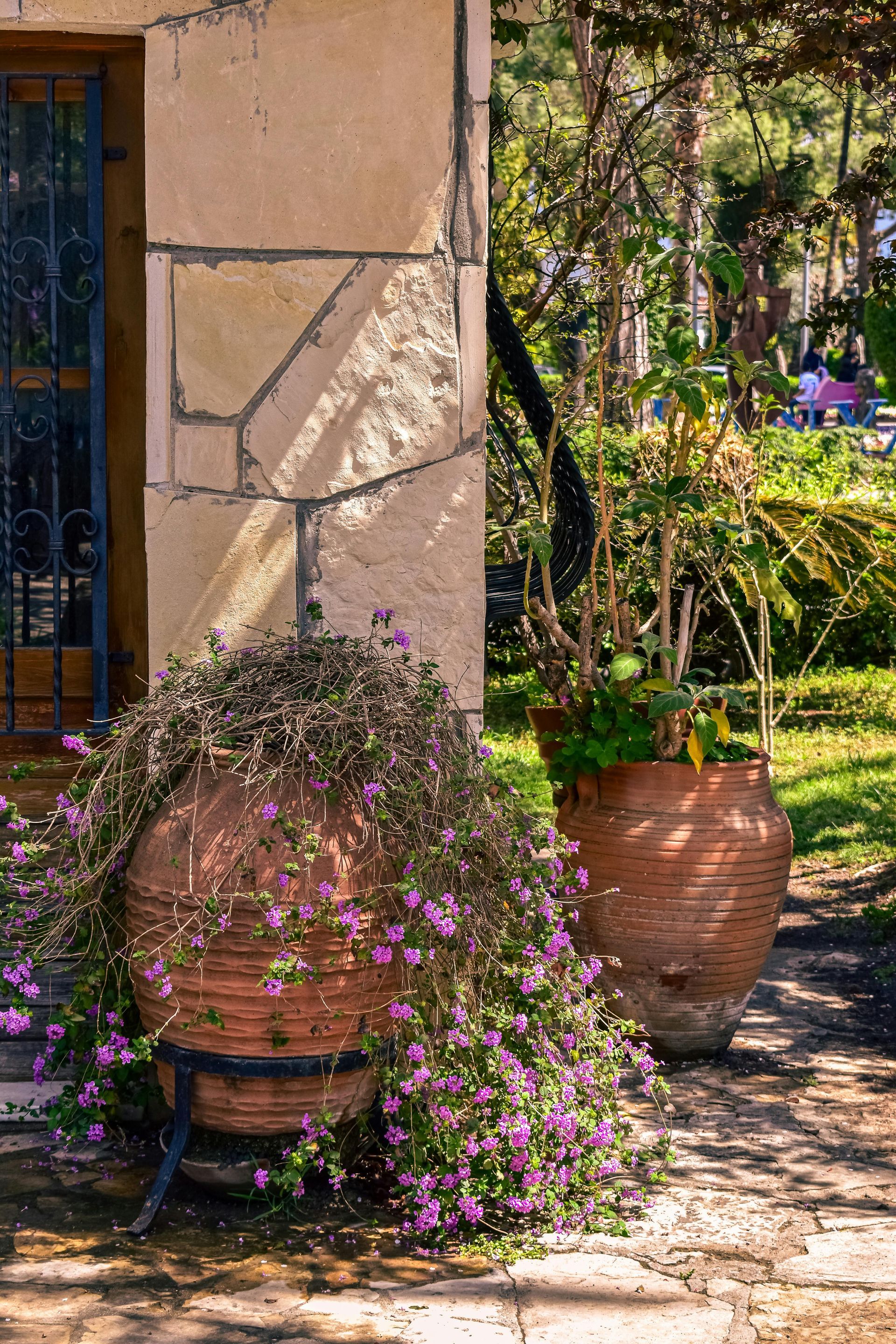 Deux pots en argile remplis de fleurs violettes sont posés devant un bâtiment symbolisant le travail de jardinier de Baptiste Dezailles à Yvetot