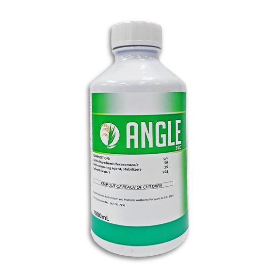Angle