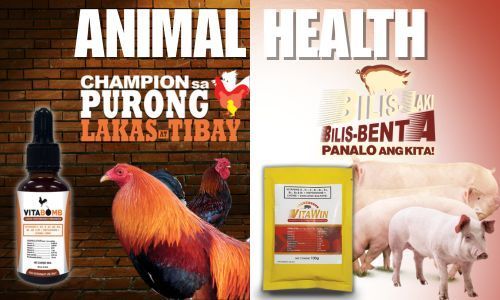 Animal health products including supplements and treatments for livestock care