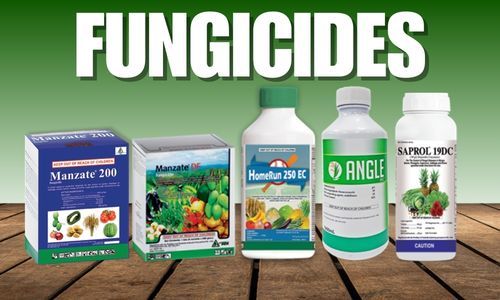 Fungicides for plant disease control to prevent fungal infections and protect crops