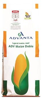 Bag of Advanta hybrid maize seed, with a corn cob illustration.