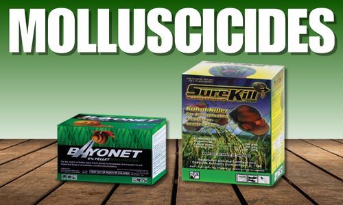 Molluscicides-Category
