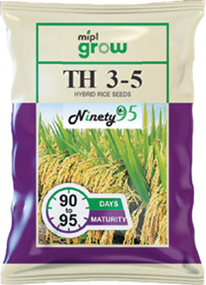 TH 3-5 hybrid rice seeds for improved yield and reliable crop production