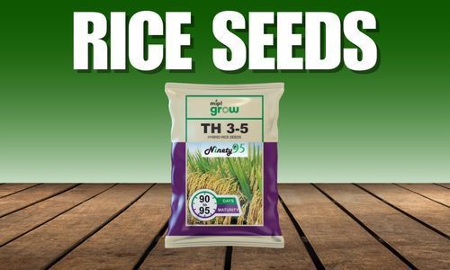 High-quality rice seeds for better crop yield and reliable agricultural production