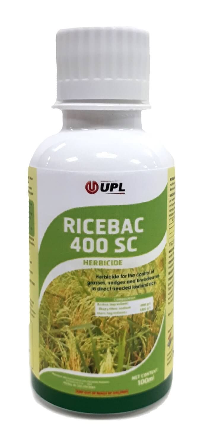 Ricebac agricultural solution for protecting rice crops and improving yield