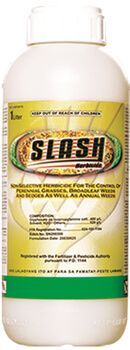 Slash