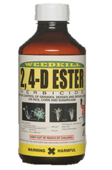 Brown bottle of