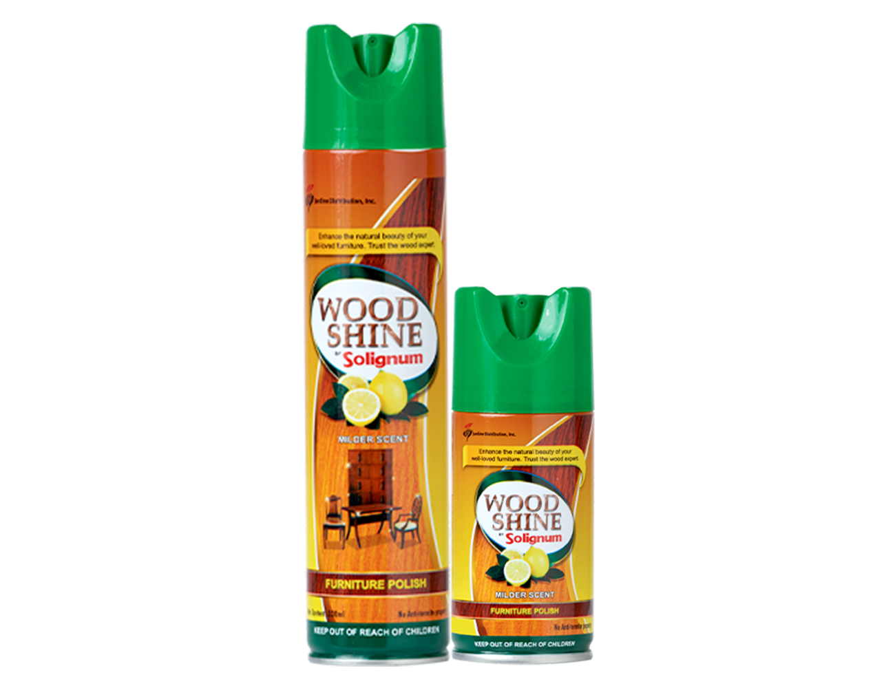 Woodshine wood polish and protector for enhancing and preserving wood surfaces