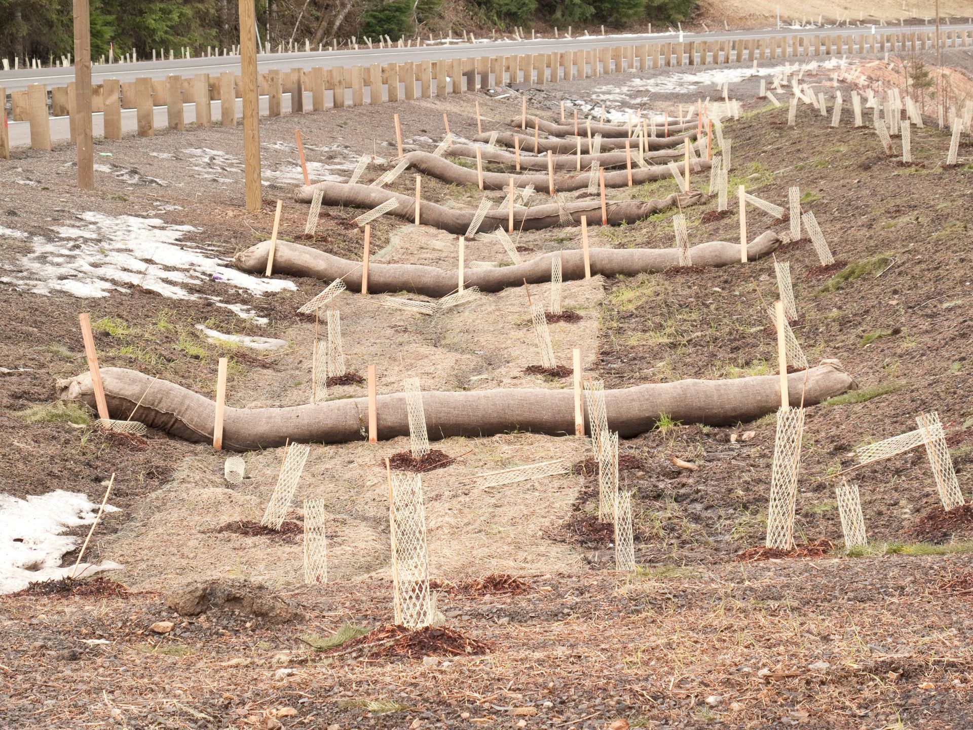 Roadside Erosion Control — Muncy, PA — Muncy Hardwood Inc.