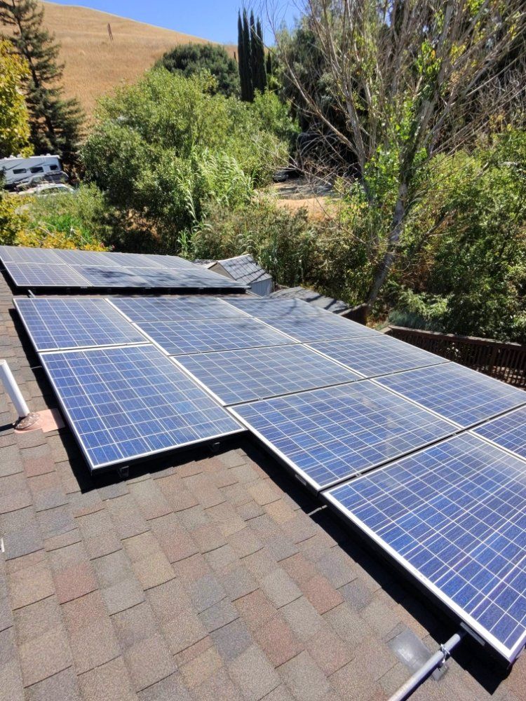 Solar panels on a shingled roof beside trees and a dry hillside under bright sunlight