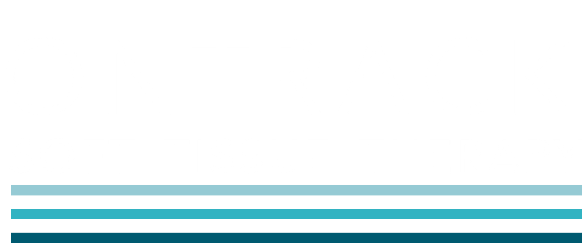 A white background with three blue stripes on it.