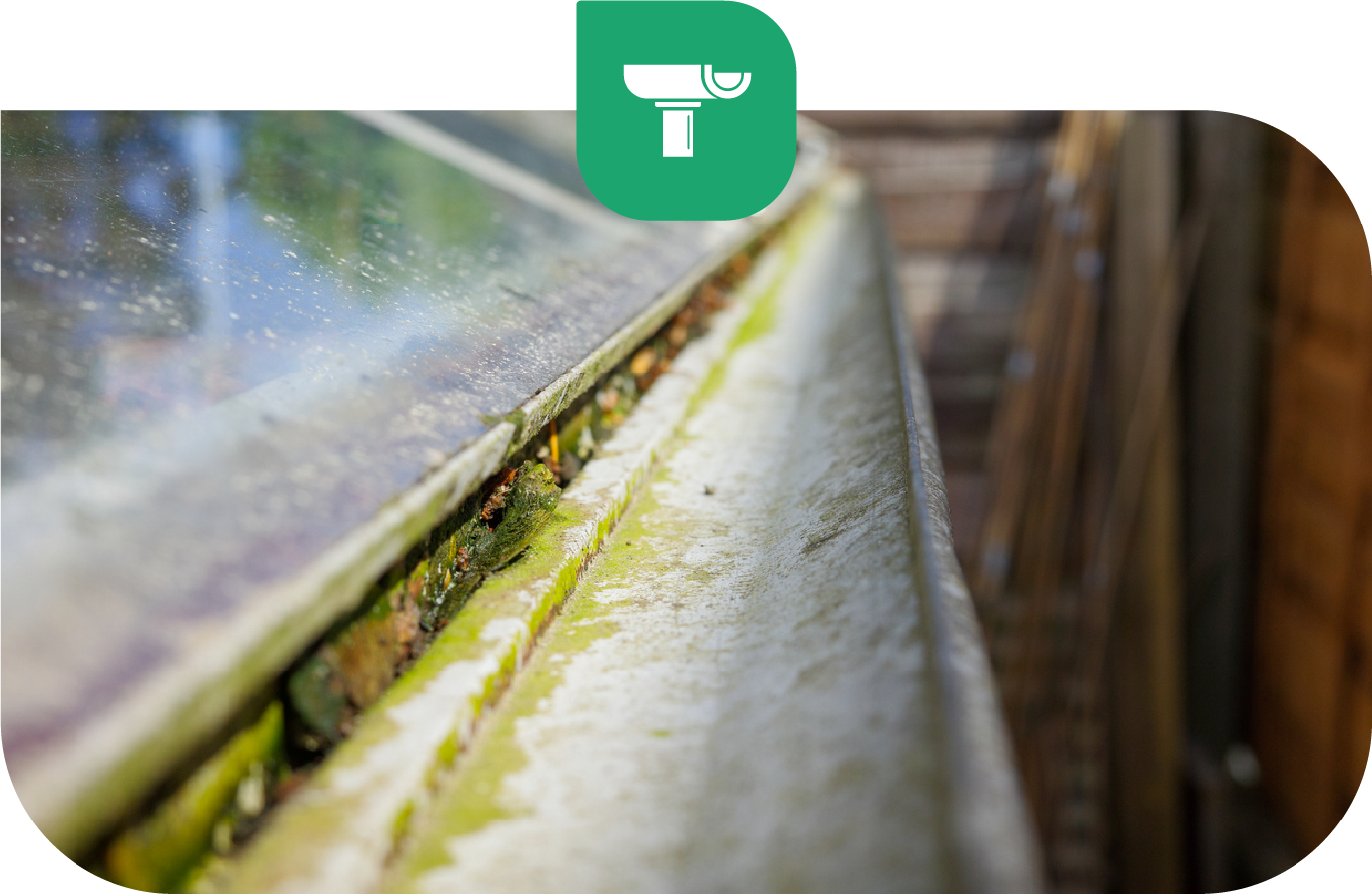 Dirty gutter with debris and algae.