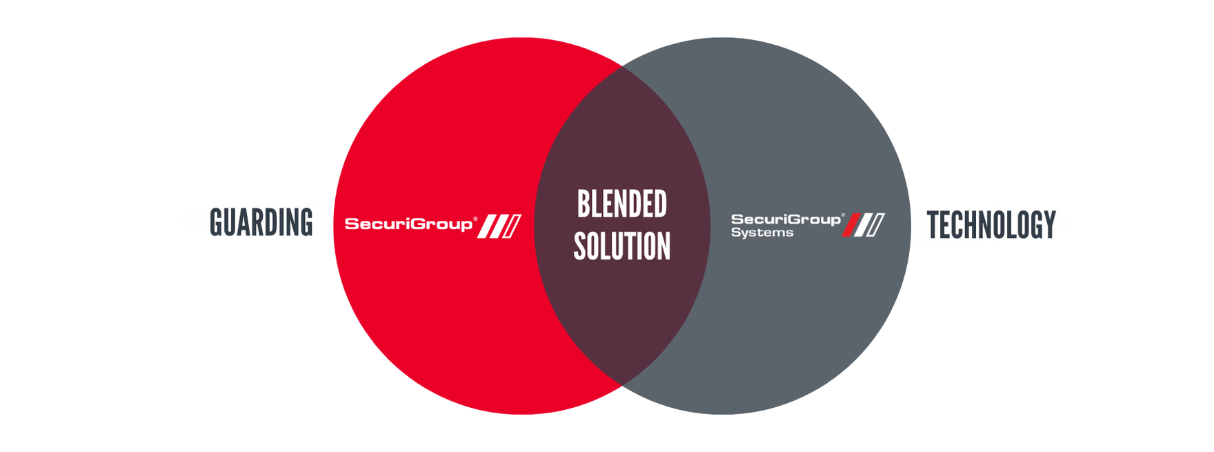 Venn diagram: Coaching and Technology overlap to form a Blended Solution. Red and gray circles on white background.
