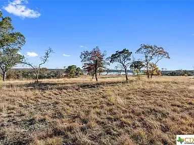 Dry grassy field with scattered trees under a clear blue sky, with a distant horizon.