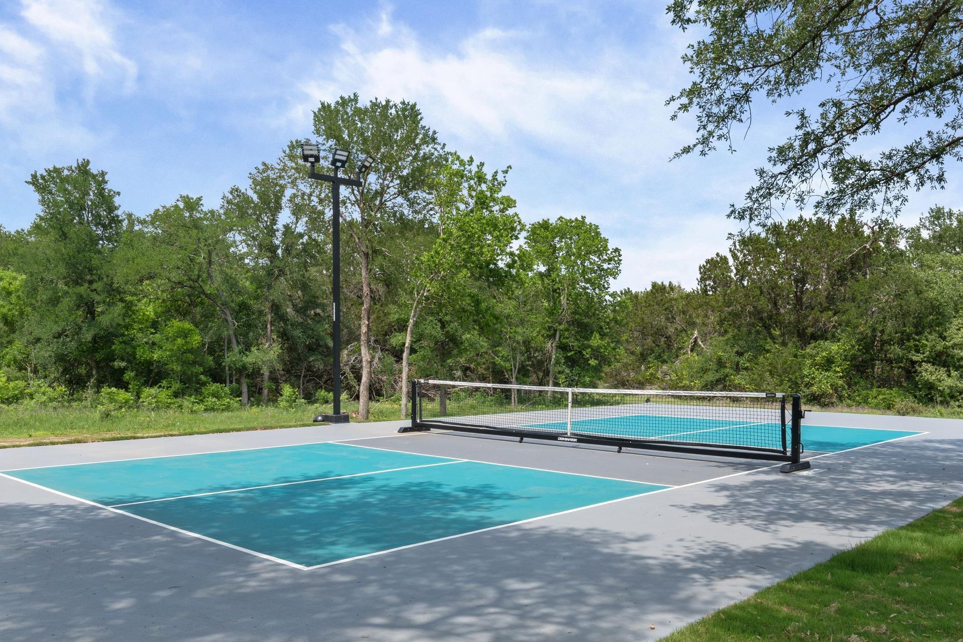 Outdoor pickleball courts with blue playing surfaces, nets, and trees surrounding them