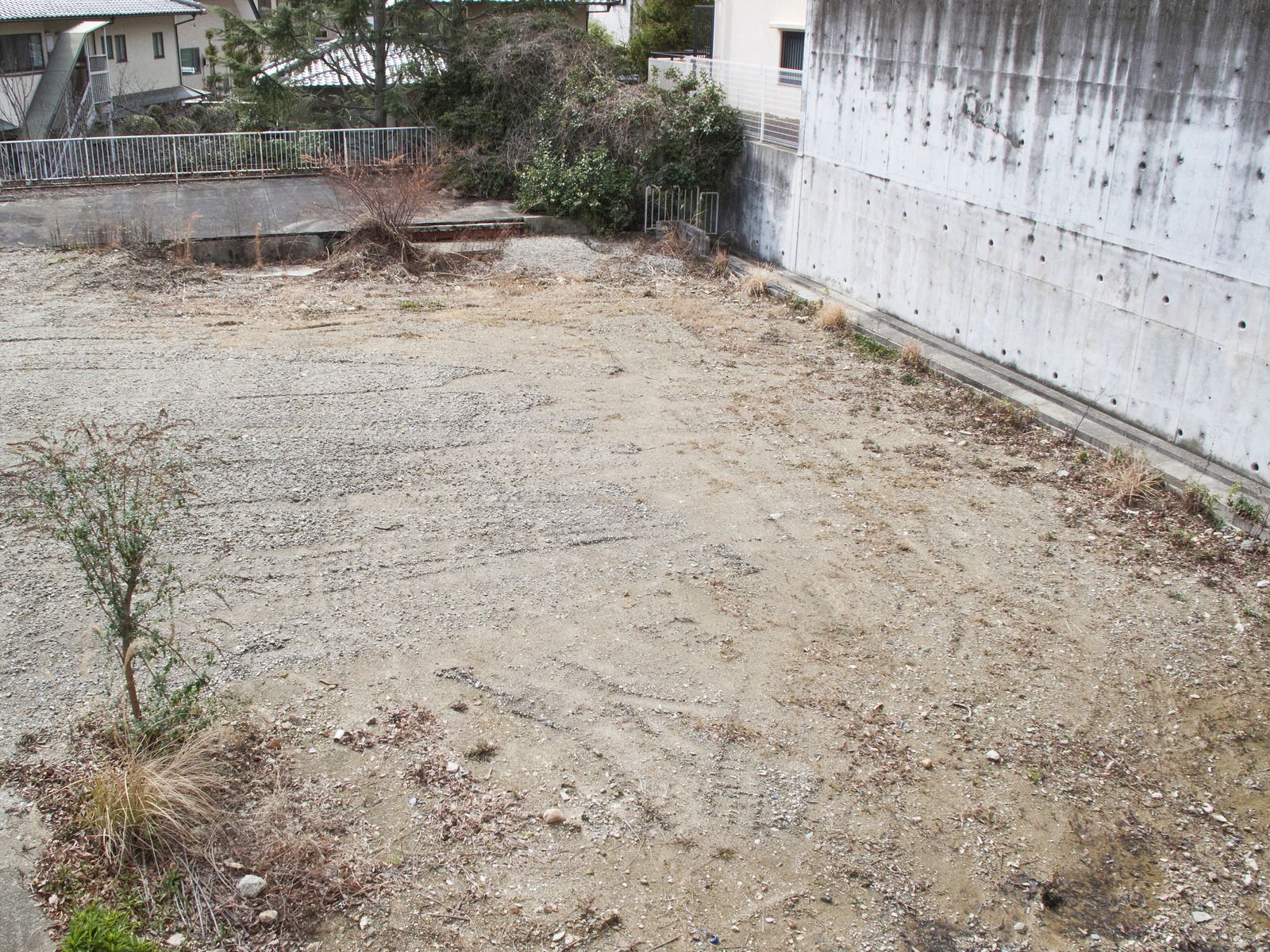 Empty gravel yard beside a white concrete wall, with sparse weeds and a small tree in the foreground