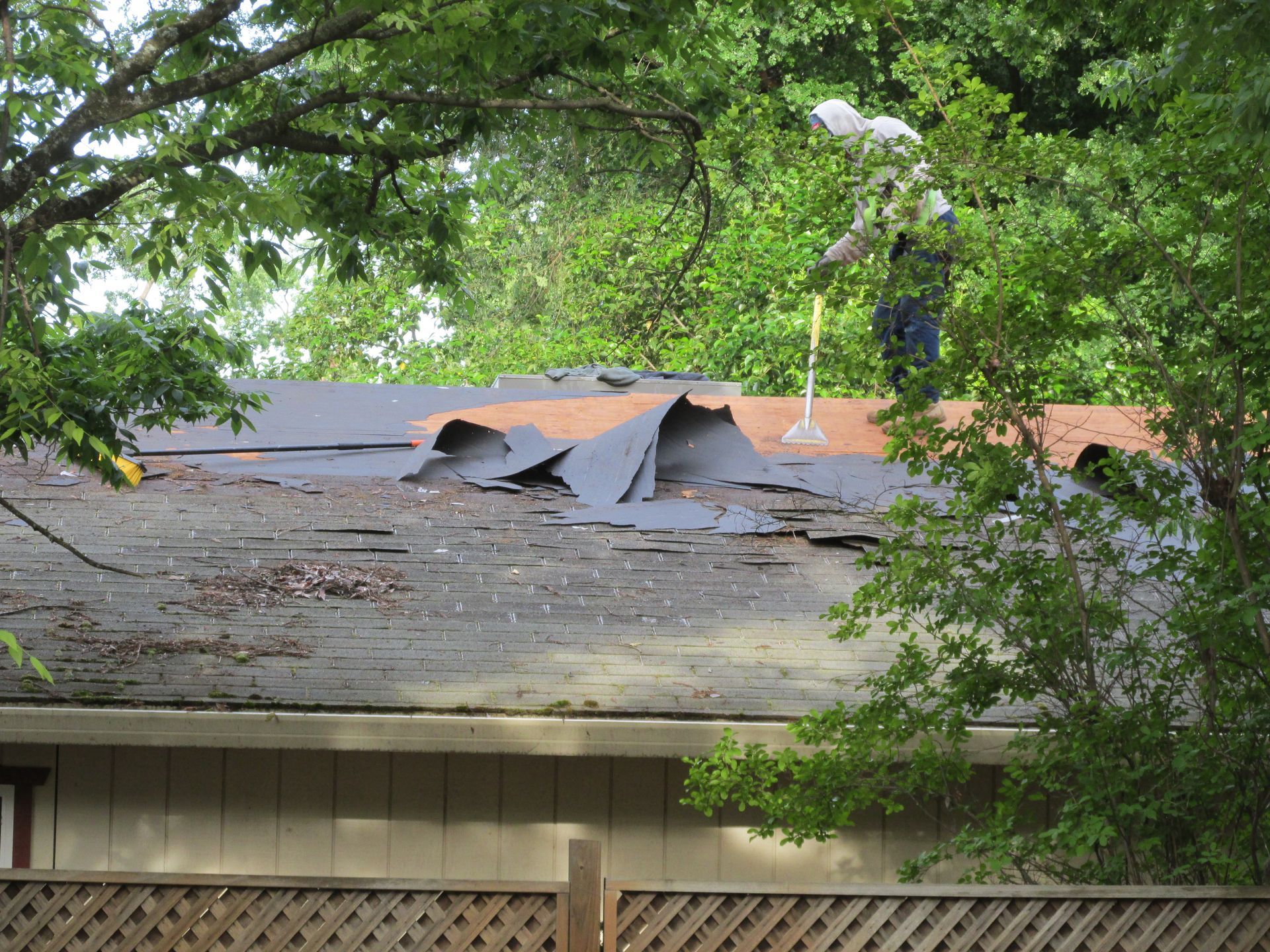 Damaged roof with torn shingles and exposed underlayment beneath green tree branches