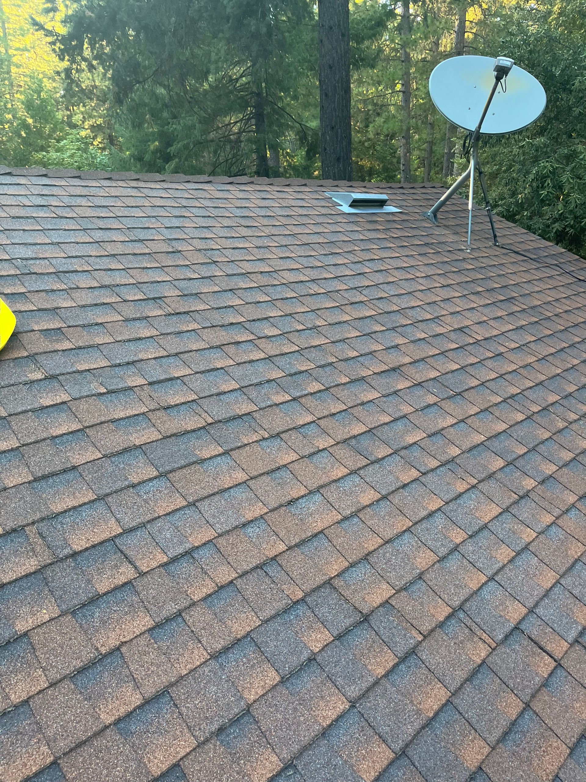 Roof shingles with a satellite dish and vent, seen against trees in the background