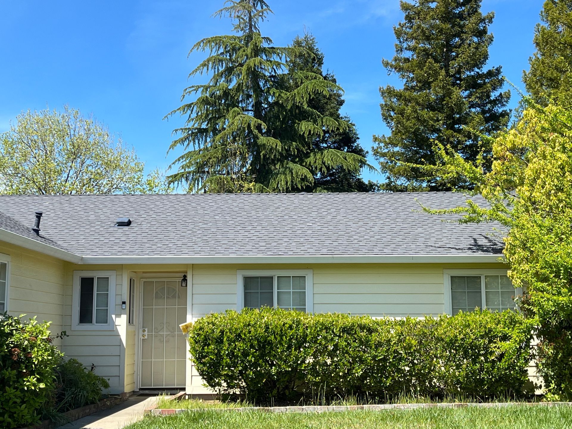 Single-story house with gray roof, white siding, and green hedges under a sunny blue sky