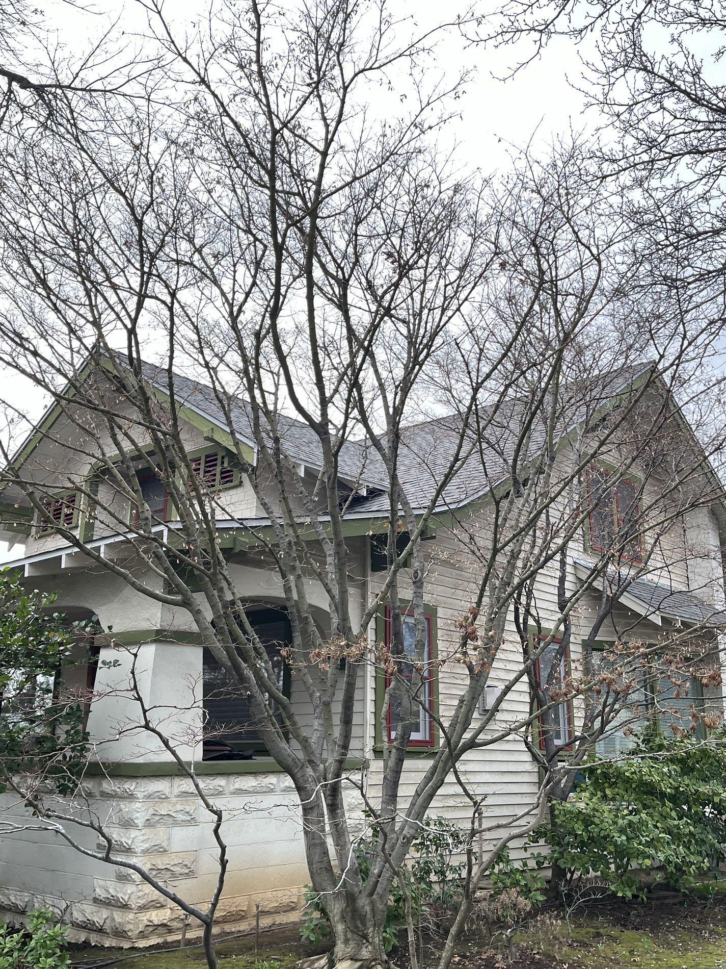 White house with a gabled roof partly obscured by leafless trees and shrubs.