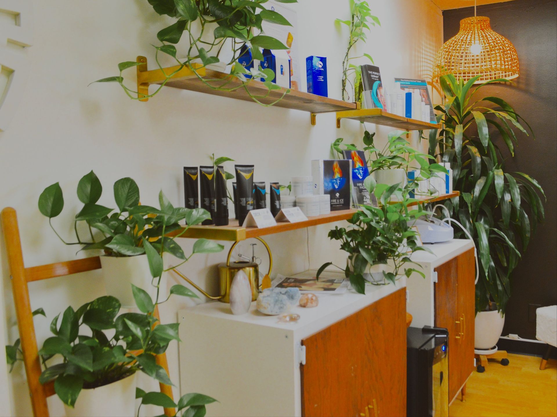 A room with shelves filled with lots of plants and bottles.