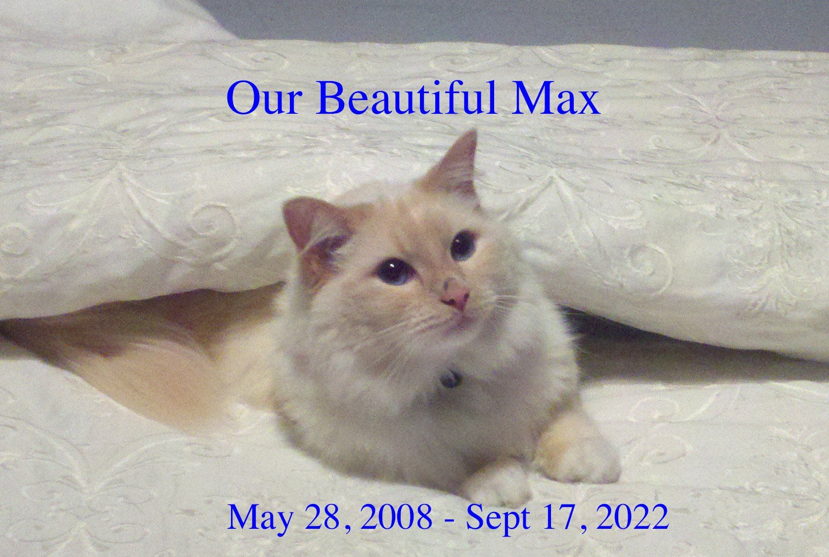 Max Corbett