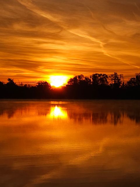 Golden sunset over a calm lake, with the sun low on the horizon behind a silhouetted tree line and its glowing reflection.