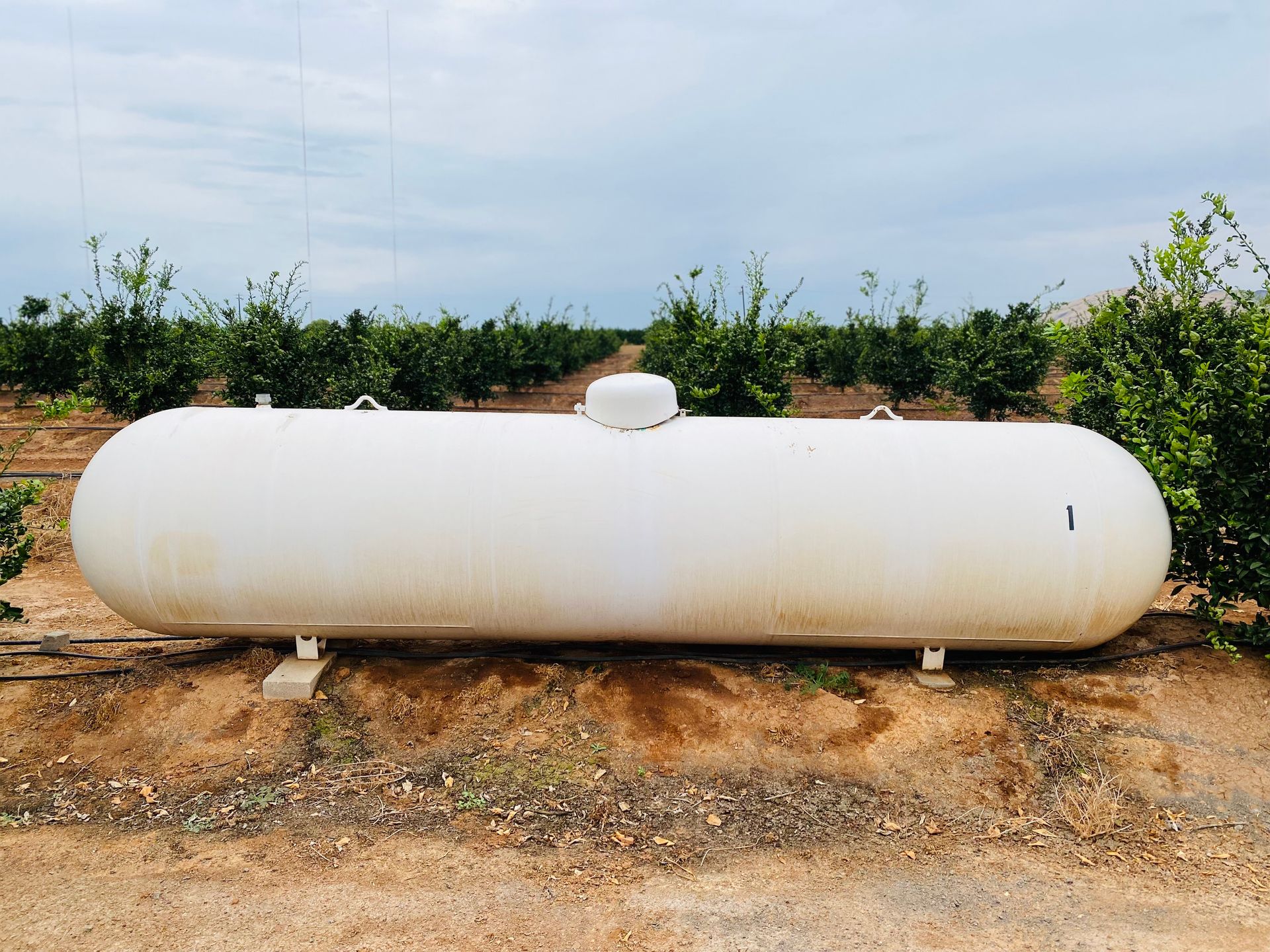 White propane tank in a field, surrounded by rows of green bushes, cloudy sky overhead.