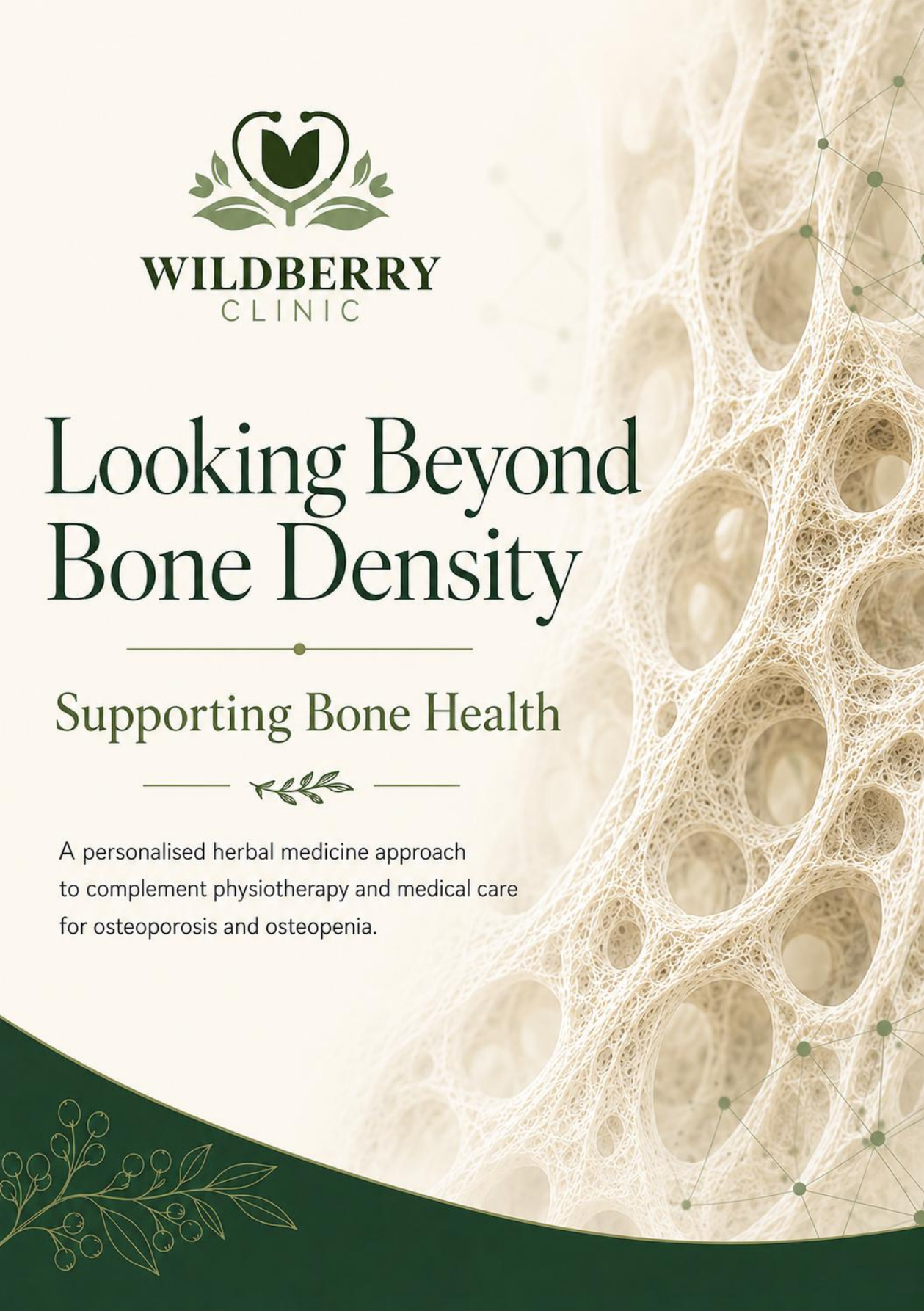 Cover of the Wildberry Bone Health Brochure